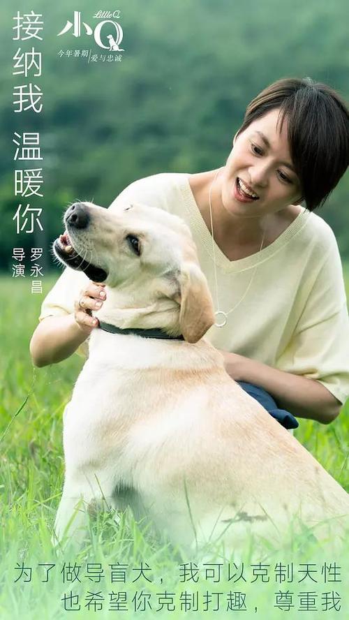 日本法政大学文凭毕业证假的多少钱